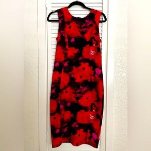 Red Floral Dress Size 8P